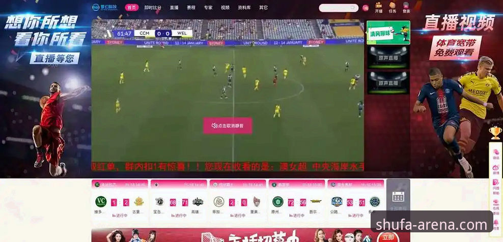 顺发体育平台全面解析：从app下载安装到赛事直播的深度体验指南
